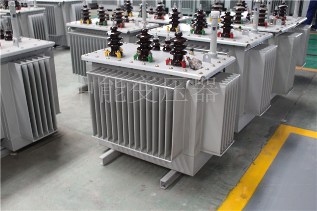 衢州S22-100KVA/10KV/0.4KV变压器